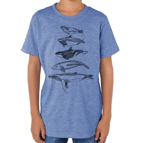 Salish Sea Mammals - Youth Triblend T-shirt (Blue)