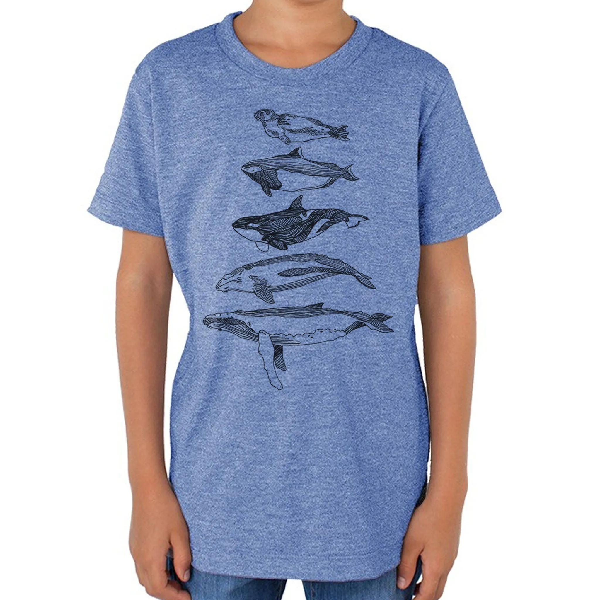 Salish Sea Mammals - Youth Triblend T-shirt (Blue)